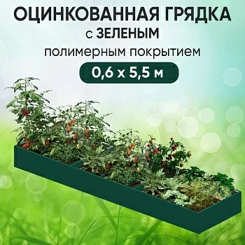 Грядка зеленая (0,6 х 5,5)
